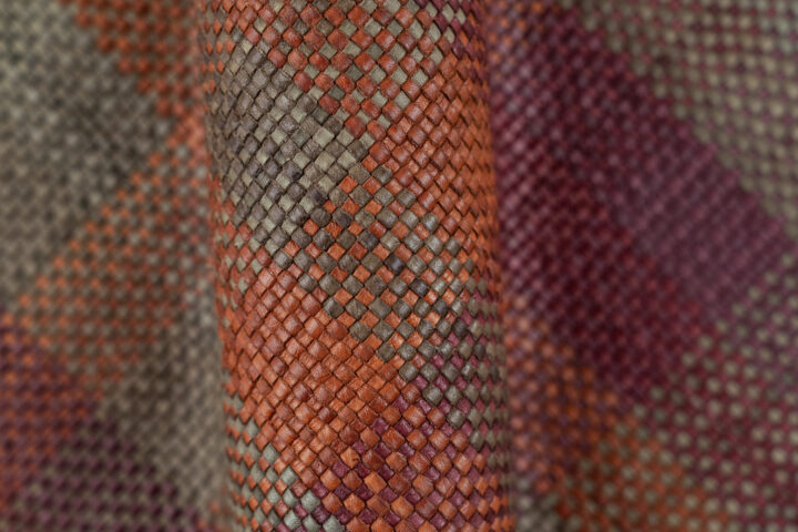 Argyle - Plum Forest 1