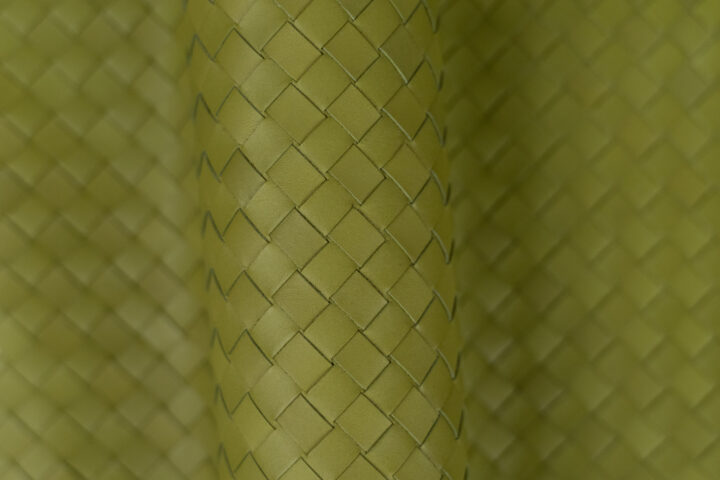 Watercolor Avocado (Perfect Roll)