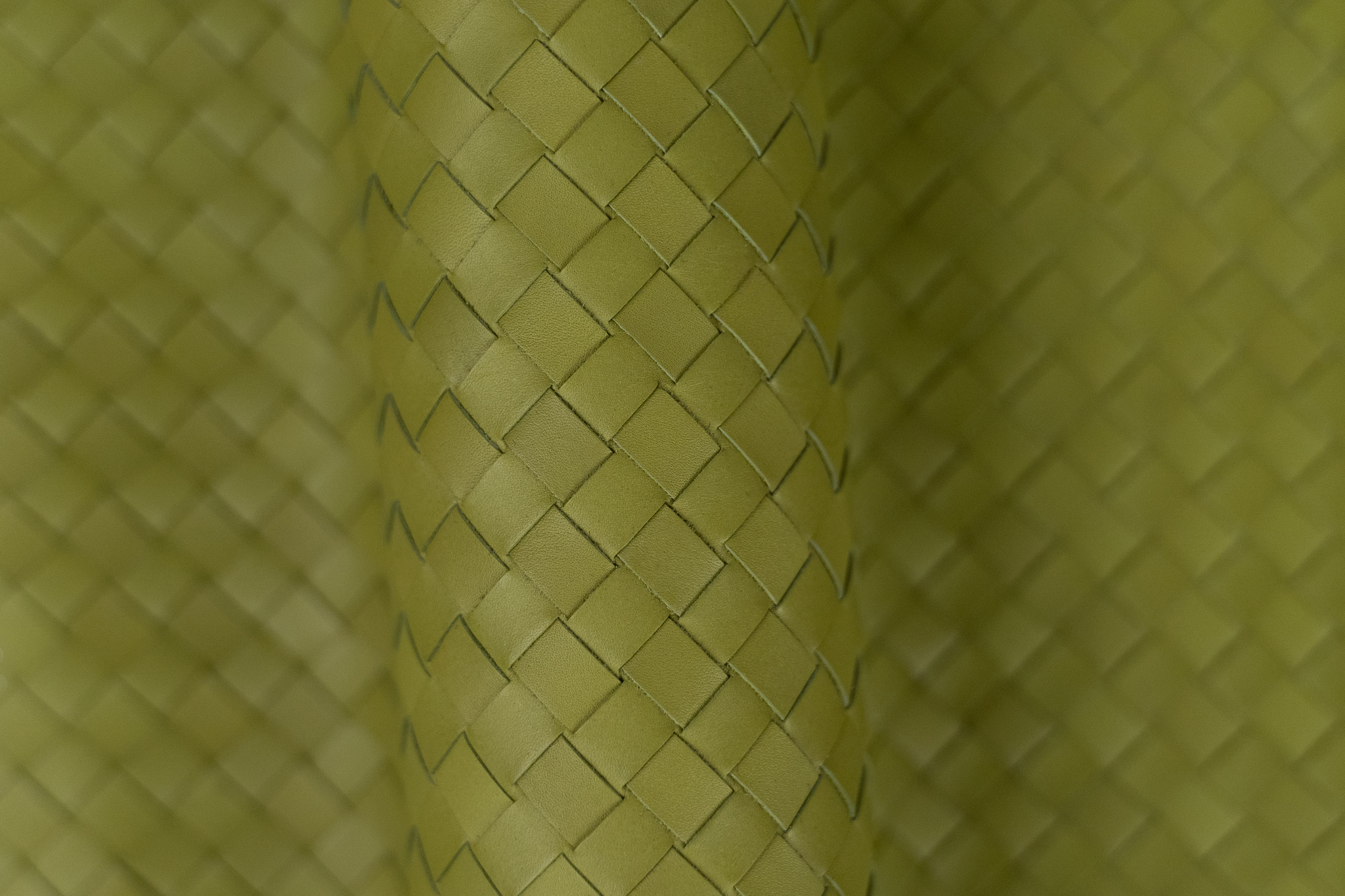 Watercolor Avocado (Perfect Roll)